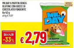 Famila Market Mr. Day muffin senza glutine offerta