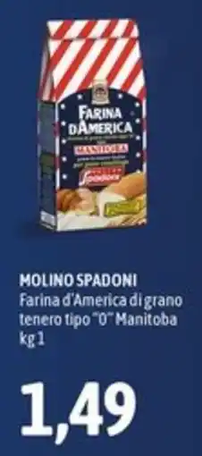 Madis Farina d'America Molino Spadoni offerta