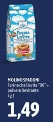 Madis Farina che lievita "00" + polvere lievitante offerta