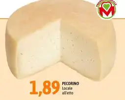 Madis Pecorino Locale offerta