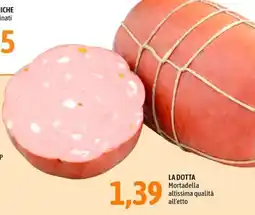 Madis Mortadella La Dotta offerta