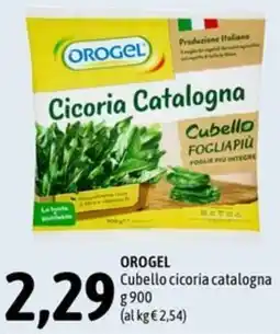 Madis Orogel cubello cicoria catalogna offerta