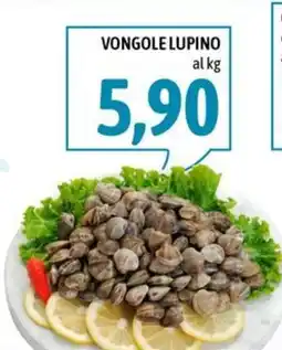 Madis Vongole lupino offerta