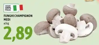 Funghi champignon medi