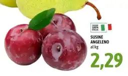 Madis Susine Angeleño offerta