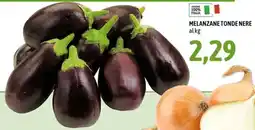 Madis Melanzane tonde nere offerta