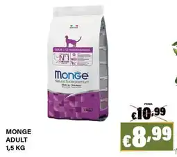 Zoomiguana Monge Adult offerta