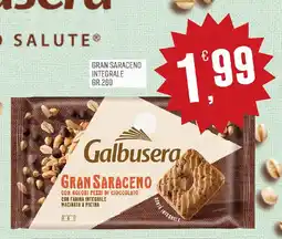Maxipiù Galbusera Gran Saraceno Integrale offerta