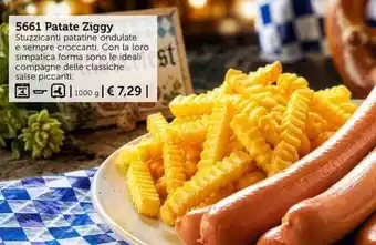 Patate Ziggy