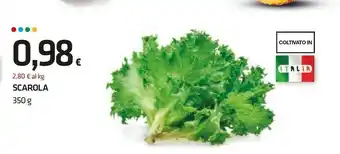 Scarola