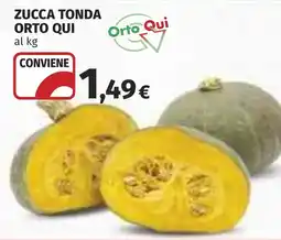 Coop Zucca Tonda Orto Qui offerta