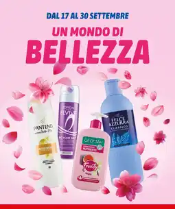 Bennet Pantene Active Nutri-Plus Shampoo offerta