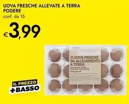 Bennet Uova fresche allevate a terra Podere offerta
