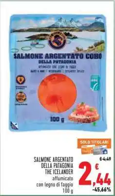 Conad SALMONE ARGENTATO DELLA PATAGONIA THE ICELANDER offerta
