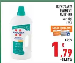 Conad IGIENIZZANTE PAVIMENTI AMUCHINA offerta