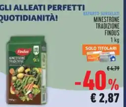 Conad MINESTRONE TRADIZIONE FINDUS offerta