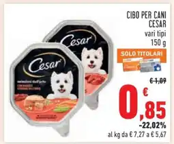 Conad CIBO PER CANI CESAR offerta