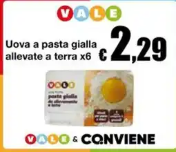 Sì con te Superstore Uova a pasta gialla allevate a terra Vale offerta