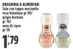 Rossotono Carrefour Sale rosa himalaya offerta