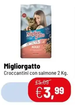 Caddy's Migliorgatto Croccantini con salmone offerta