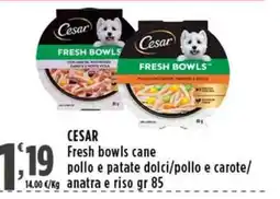Rossotono Carrefour Cesar Fresh bowls cane offerta