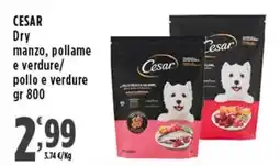 Rossotono Carrefour Cesar Dry manzo, pollame e verdure offerta