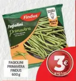Crai Fagiolini Primavera Findus offerta
