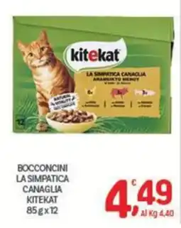 Crai Bocconcini la simpatica canaglia kitekat offerta