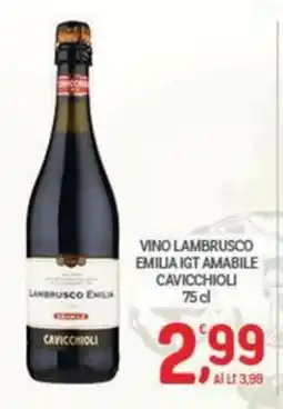 Crai Vino Lambrusco Emilia Cavicchioli offerta