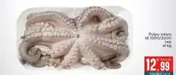 Altasfera Polpo intero offerta