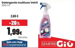 Coop Master Alleanza 3.0 Detergente multiuso Vetril offerta
