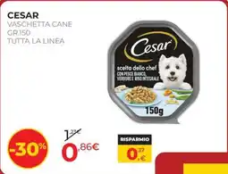 Arcaplanet Cesar vaschetta cane offerta