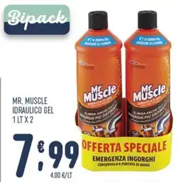 Gruppo Pascar Mr. Muscle idraulico gel offerta