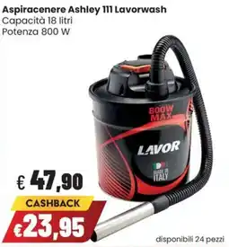 Coop Master Alleanza 3.0 Aspiracenere Ashley 111 Lavorwash offerta