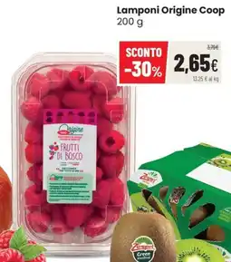 Coop Master Alleanza 3.0 Lamponi Origine Coop offerta