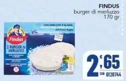 Gruppo di Palo Findus burger di merluzzo offerta