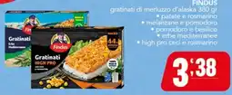 Gruppo di Palo Findus Gratinati HIGH PRO offerta