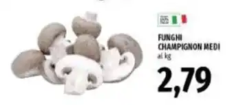 Funghi champignon medi