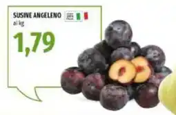 Emi Market Susine Angeleno offerta