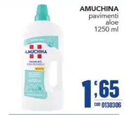 Gruppo di Palo Amuchina pavimenti aloe offerta