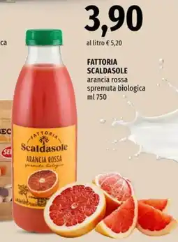 Famila Superstore Fattoria Scaldasole arancia rossa offerta