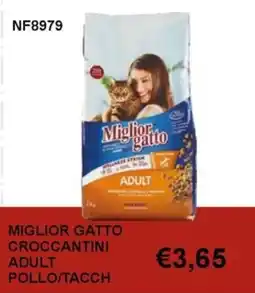Italy Cash and Carry Miglior gatto croccantini adult offerta