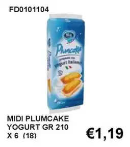 Italy Cash and Carry Midi Plumcake Yogurt offerta