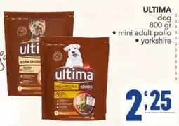 Gruppo di Palo ultima dog offerta