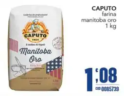 Gruppo di Palo Caputo farina manitoba oro offerta