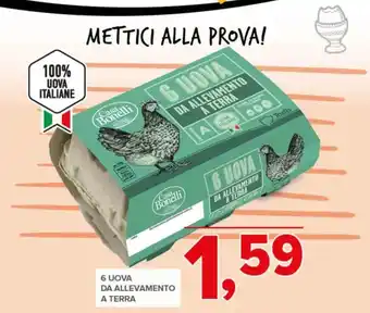 Uova da allevamento a terra Casa Bonelli