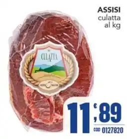 Gruppo di Palo Assisi culatta offerta