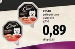 Famila Superstore Cesar paté per cane assortito offerta