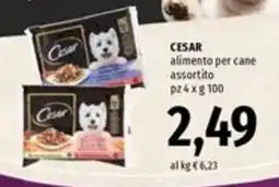 Famila Superstore Cesar alimento per cane assortito offerta