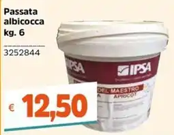 Stop&Shop Passata albicocca IPSA offerta